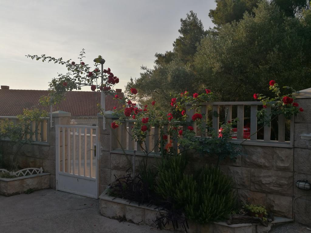 Guest house Radovic 3*
