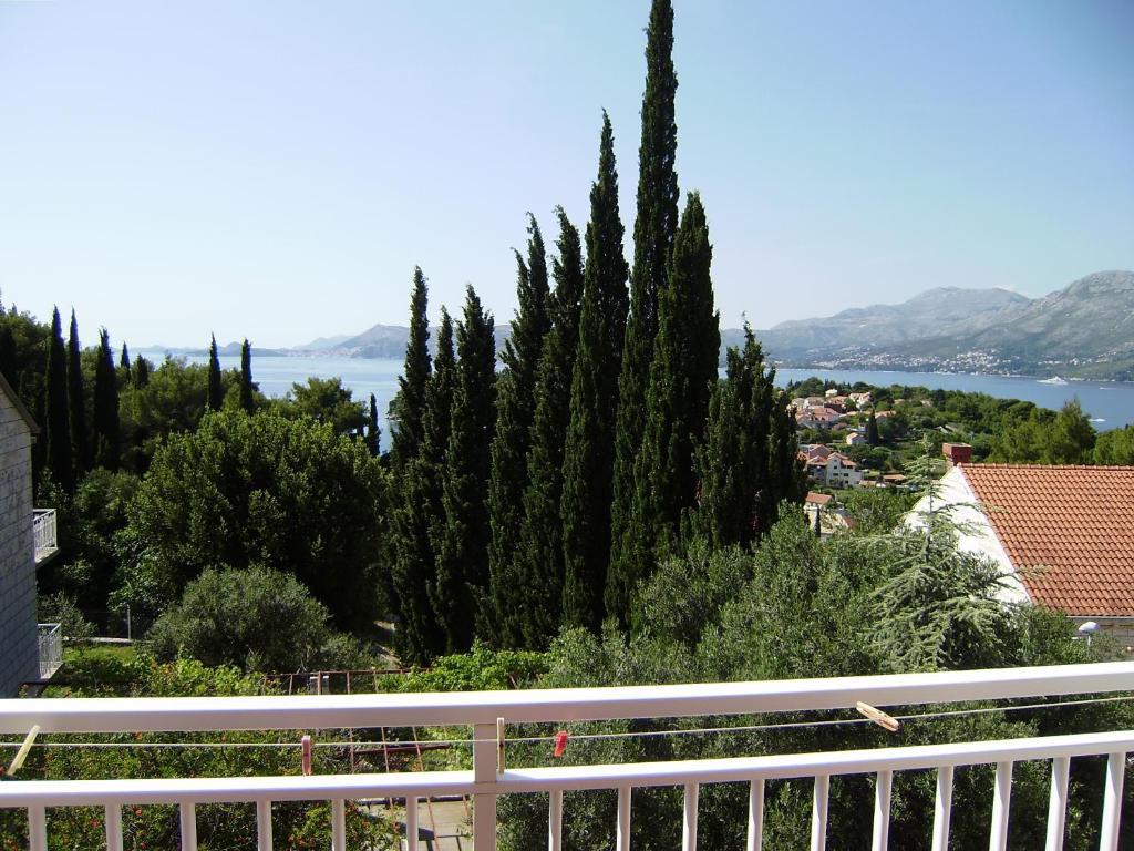 Radovic Guest house 3*
