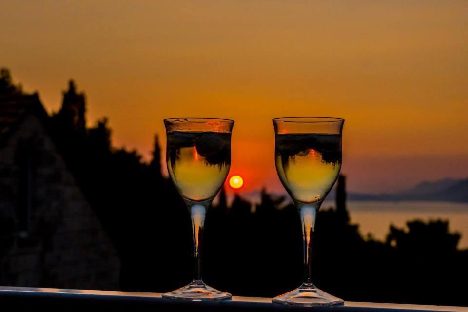 Guest house Radovic