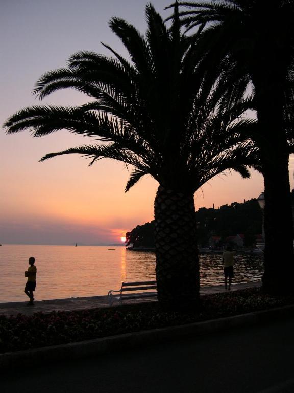 Radovic Cavtat